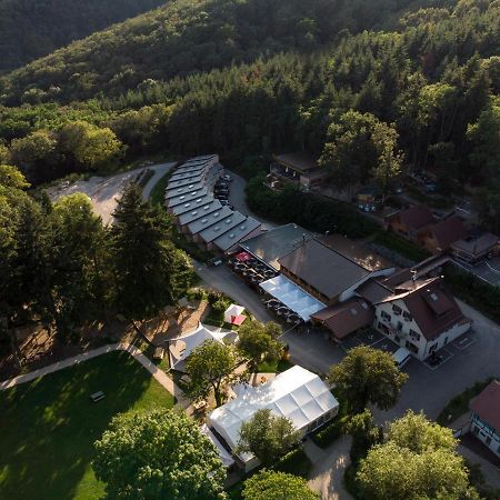 Domaine Du Hirtz, Restaurant & Spa Wattwiller Buitenkant foto