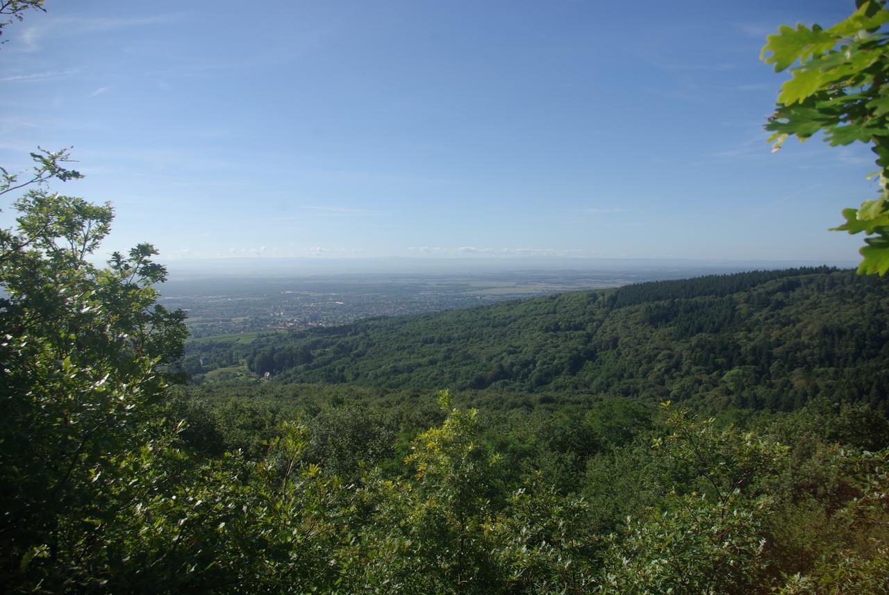 Domaine Du Hirtz, Restaurant & Spa Wattwiller Buitenkant foto