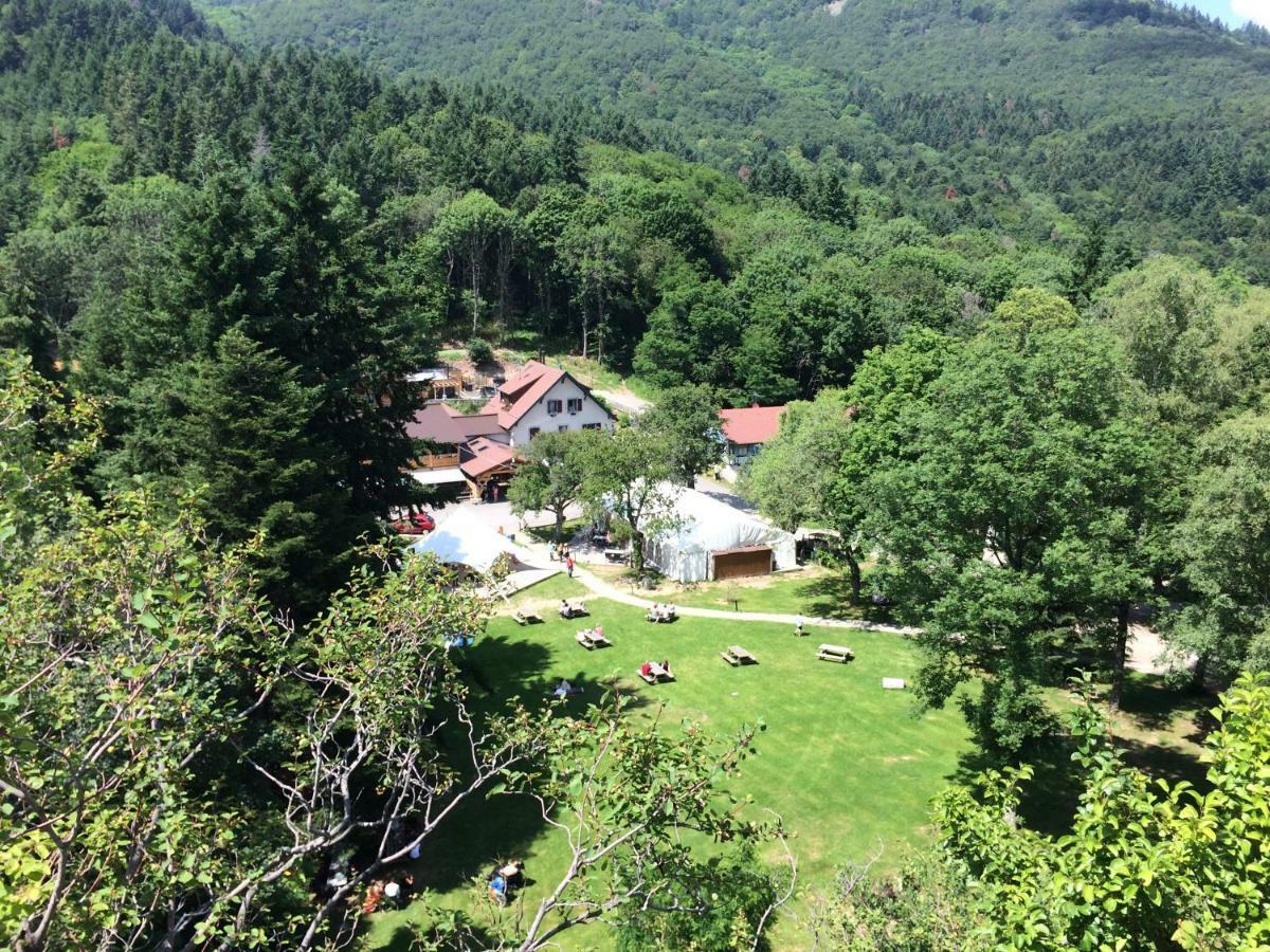 Domaine Du Hirtz, Restaurant & Spa Wattwiller Buitenkant foto