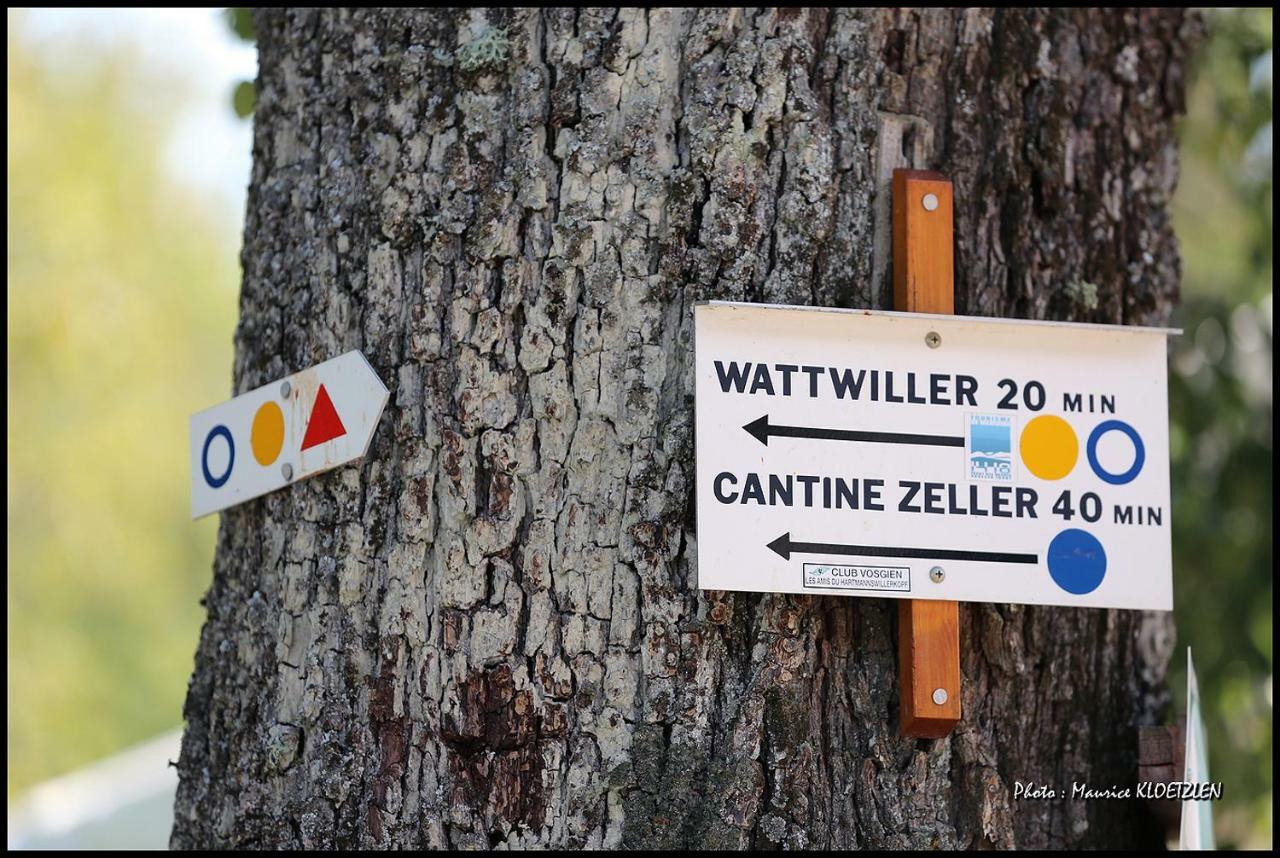 Domaine Du Hirtz, Restaurant & Spa Wattwiller Buitenkant foto