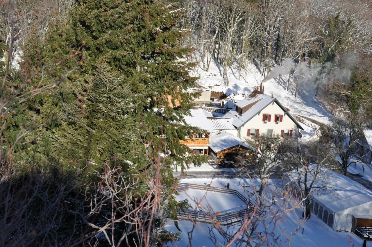 Domaine Du Hirtz, Restaurant & Spa Wattwiller Buitenkant foto