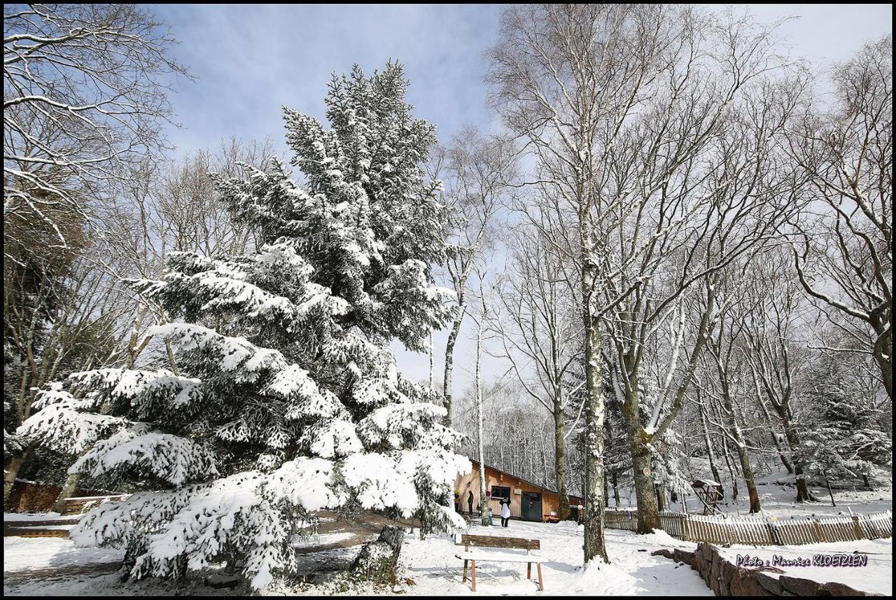 Domaine Du Hirtz, Restaurant & Spa Wattwiller Buitenkant foto
